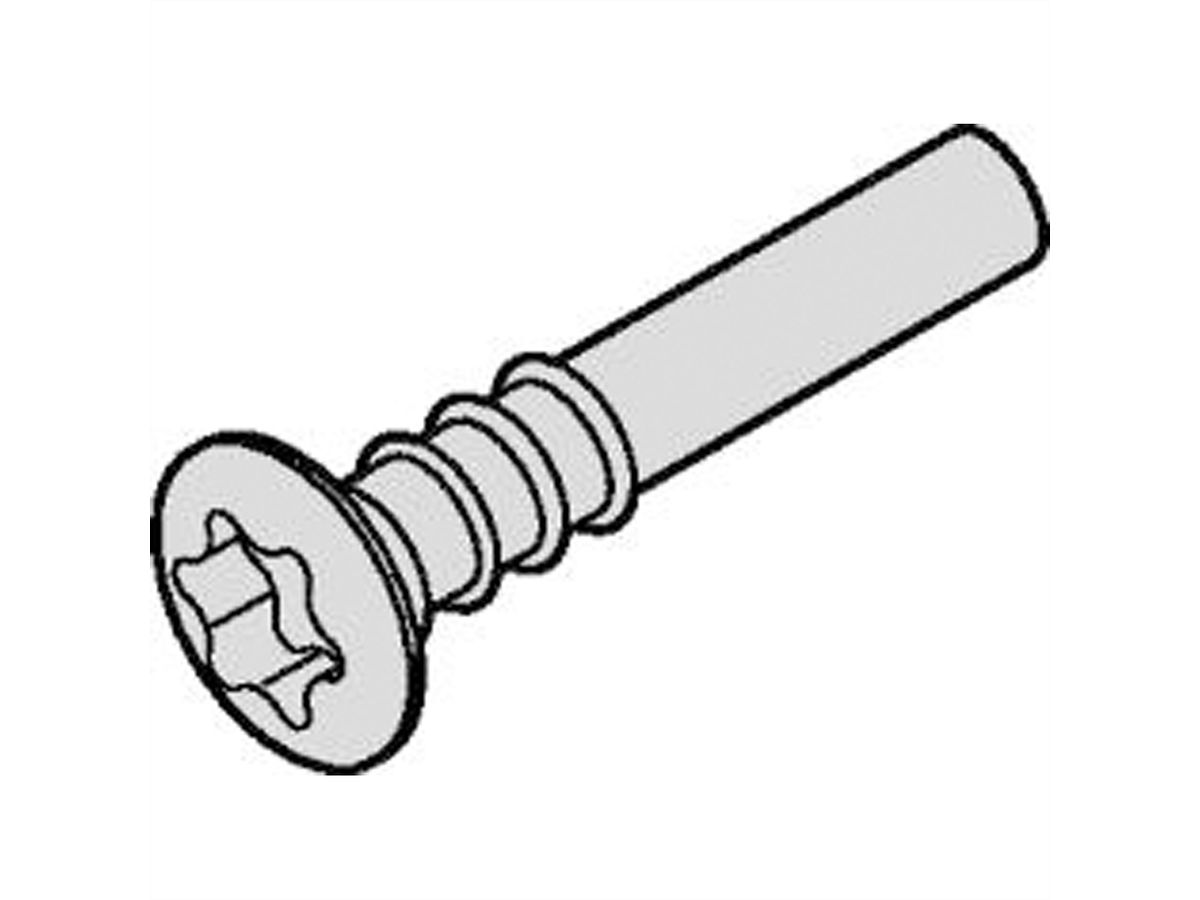 SCHROFF Torx-Linsenkopfschraube - NTS LISESHR TORX3.0X20 100ST
