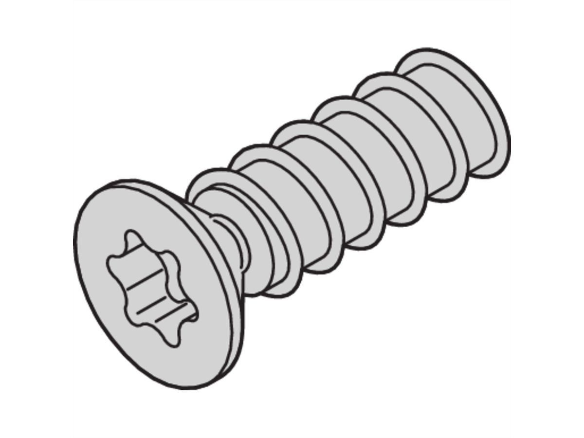 SCHROFF Torx-Schraube - NTS LISEKO M2.5X5 (100STK)