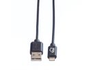 VALUE USB 2.0 Sync- & Ladekabel mit Lightning Connector, 1 m