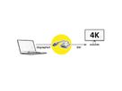 ROLINE GOLD 4K DP-DVI Adapter, Aktiv, v1.2, DP ST - DVI BU, Retail Blister