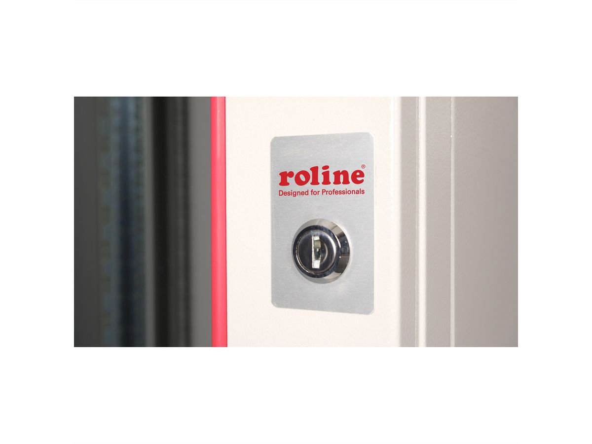 ROLINE 19-Zoll Wandgehäuse Pro 20 HE, 600x600 BxT zweiteilig schwenkbar grau