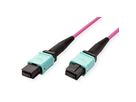 VALUE MPO-Trunk-Kabel 50/125µm OM4, MPO/MPO, TYPE A, violett, 10 m