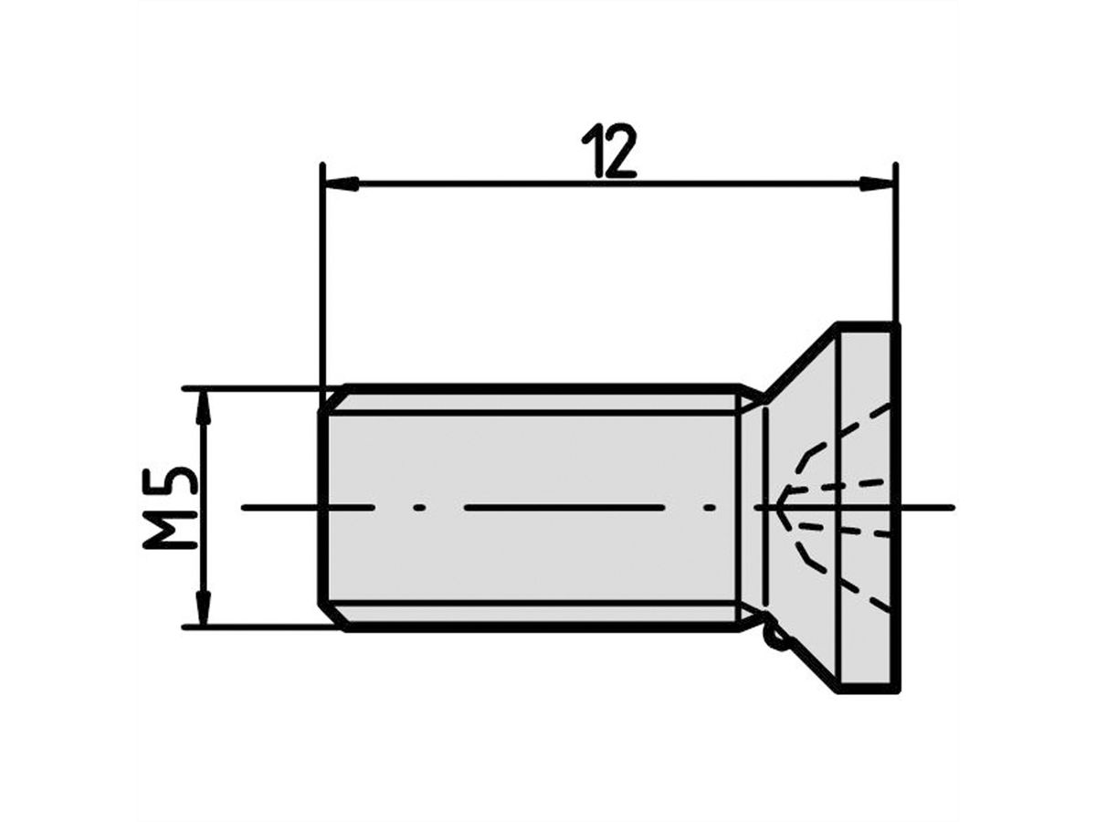 SCHROFF Schrauben zur Modul- und Profilschienenbefestigung - NTS SO.SENKSCHR.M5X12 100ST