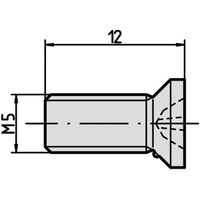SCHROFF Schrauben zur Modul- und Profilschienenbefestigung - NTS SENKSCHR.M5X12 10STK
