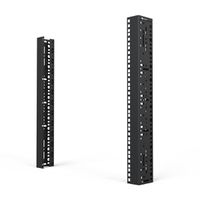 SCHROFF 19"-Winkelprofil mit Universal-Lochung (EIA), RAL 7035 - WINKELPROFIL 19"12HE 7035(2X)