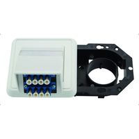 TELEGÄRTNER LWL Anschlussdose 2xLC QUAD-Kupplung für Brüstungskanal
