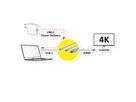 ROLINE USB Typ C - HDMI + USB C (PD) Adapterkabel, ST/ST+BU, 2 m