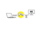 VALUE Adapterkabel DisplayPort - VGA / DVI / HDMI, v1.2, Aktiv