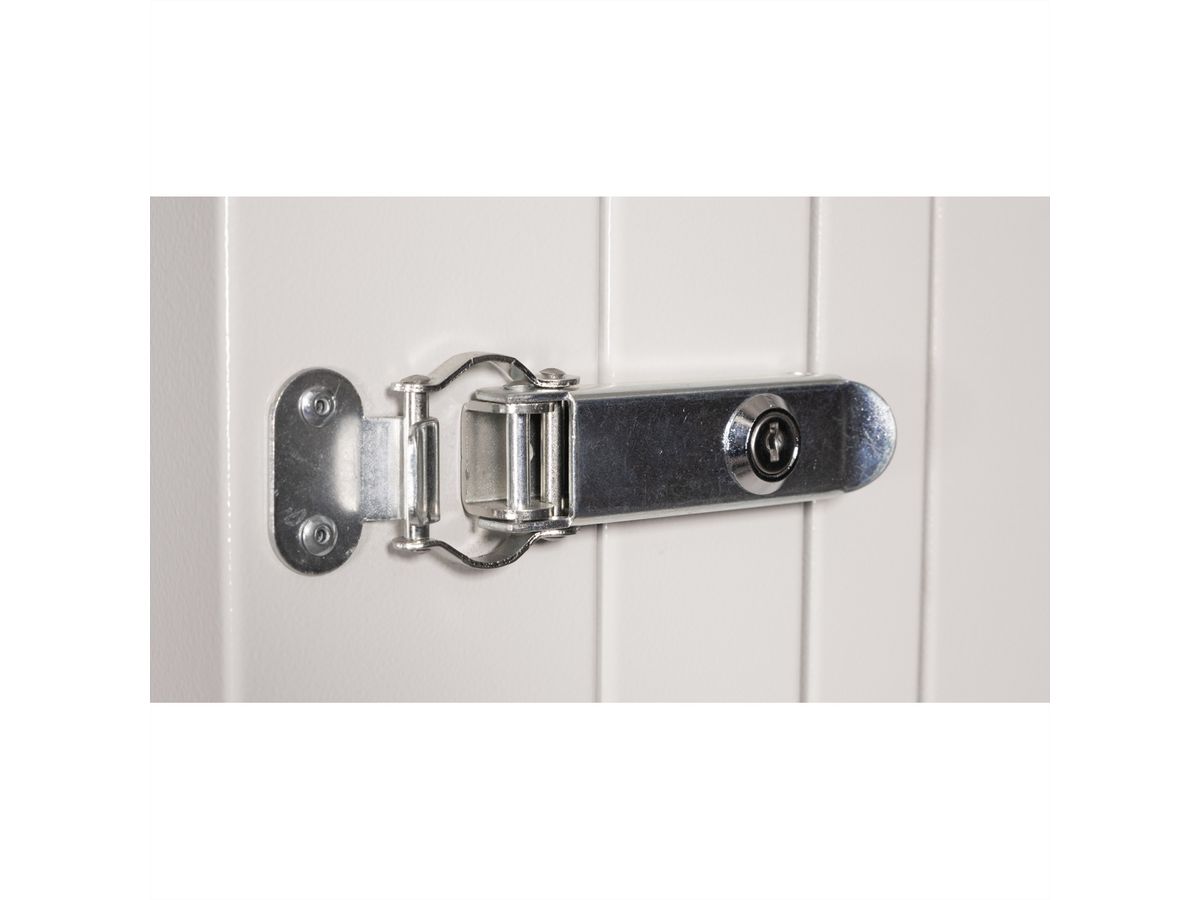 ROLINE 19-Zoll Wandgehäuse Pro 12 HE, 600x600 BxT zweiteilig schwenkbar grau