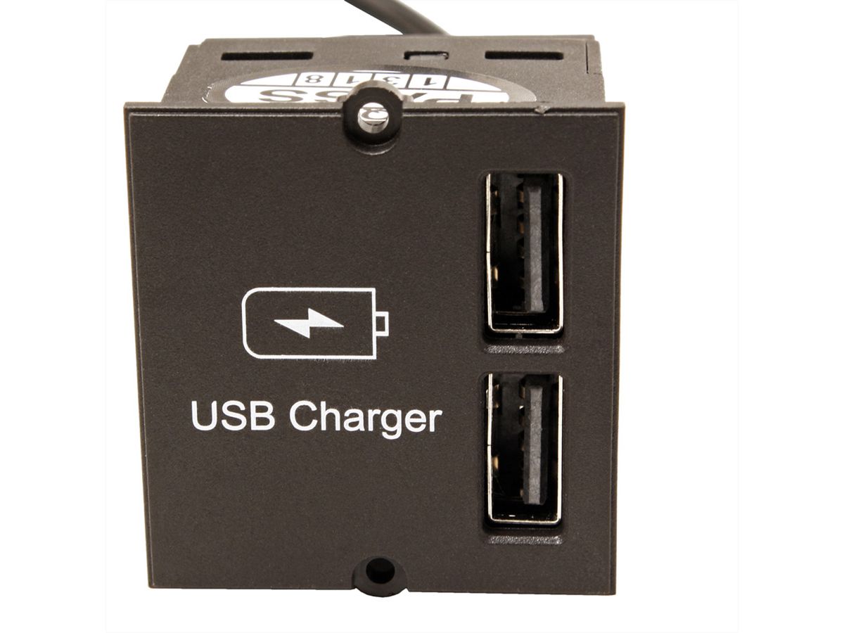 BACHMANN Custom Modul USB Doppel-Charger
