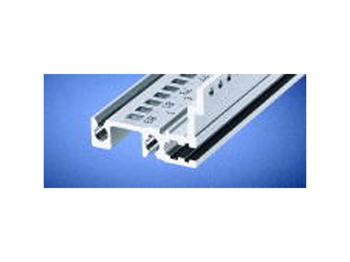 SCHROFF Typ H-MZ stabil, mit Z-Schiene - MODULSCH. HINTEN 20TE H 