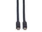 ROLINE DisplayPort Kabel, Mini DP ST - Mini DP ST, schwarz, 2 m